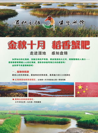 游客雜志廣告服務 連接全球旅行者，點亮品牌旅程