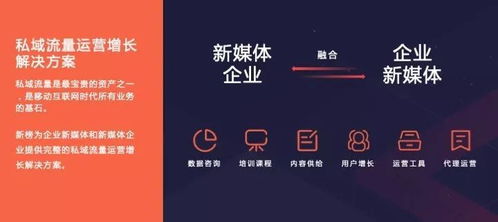 新榜2019內容創業年度報告 洞見行業趨勢，賦能商業增長